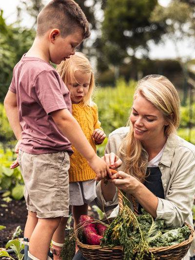 familie, gartenarbeit, , alleinerziehend, kinder, ernte, draußen,  bildung, gemeinschaft, familienzeit